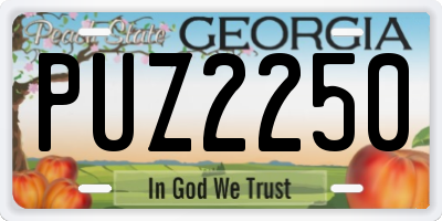 GA license plate PUZ2250