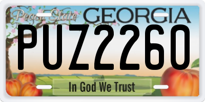 GA license plate PUZ2260