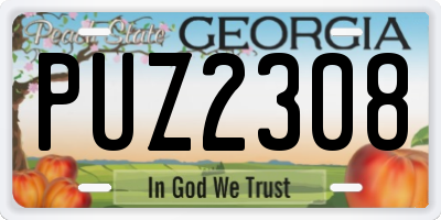 GA license plate PUZ2308