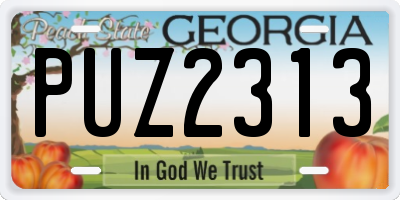 GA license plate PUZ2313
