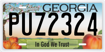 GA license plate PUZ2324