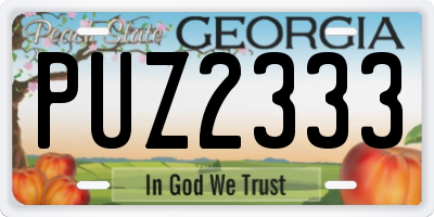 GA license plate PUZ2333