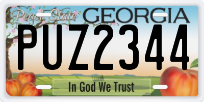 GA license plate PUZ2344