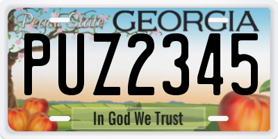 GA license plate PUZ2345