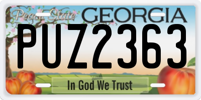GA license plate PUZ2363