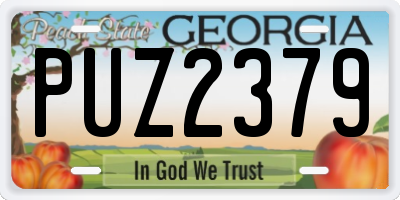 GA license plate PUZ2379
