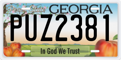 GA license plate PUZ2381