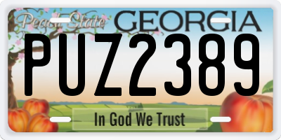 GA license plate PUZ2389