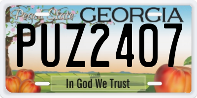 GA license plate PUZ2407
