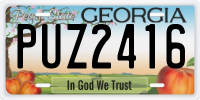 GA license plate PUZ2416
