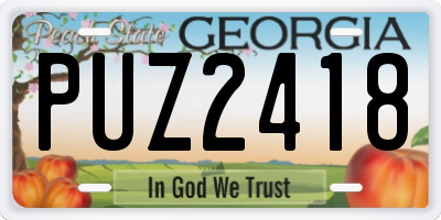 GA license plate PUZ2418