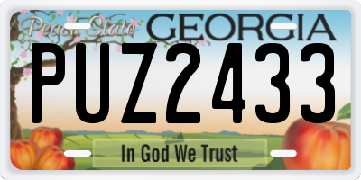 GA license plate PUZ2433