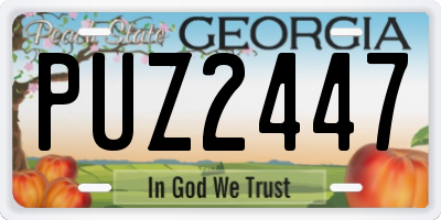 GA license plate PUZ2447