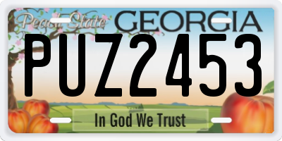 GA license plate PUZ2453