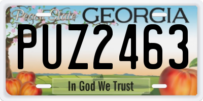 GA license plate PUZ2463