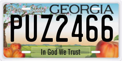 GA license plate PUZ2466