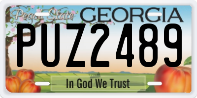 GA license plate PUZ2489