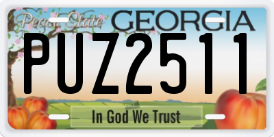 GA license plate PUZ2511