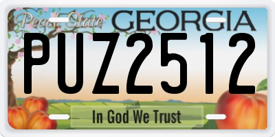 GA license plate PUZ2512