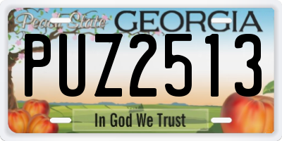 GA license plate PUZ2513