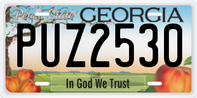 GA license plate PUZ2530
