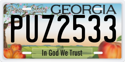 GA license plate PUZ2533