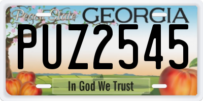 GA license plate PUZ2545