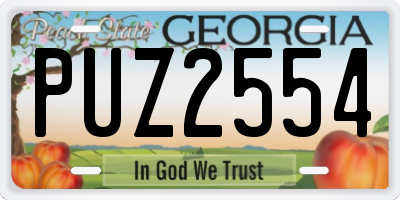 GA license plate PUZ2554