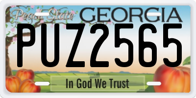 GA license plate PUZ2565