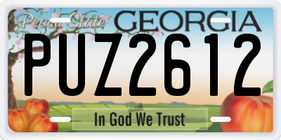 GA license plate PUZ2612