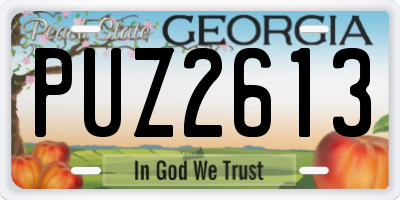 GA license plate PUZ2613