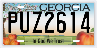 GA license plate PUZ2614