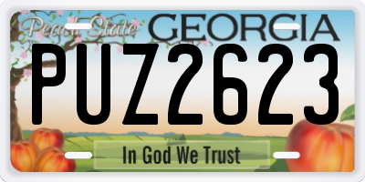 GA license plate PUZ2623
