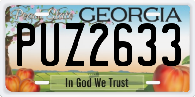GA license plate PUZ2633