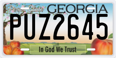 GA license plate PUZ2645