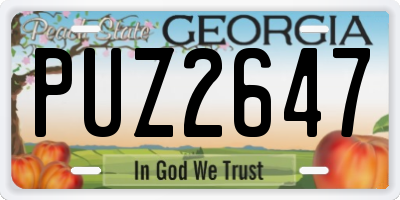 GA license plate PUZ2647