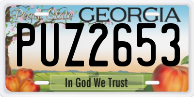 GA license plate PUZ2653