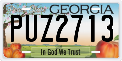 GA license plate PUZ2713