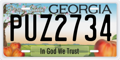 GA license plate PUZ2734