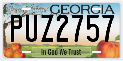 GA license plate PUZ2757