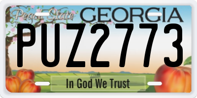 GA license plate PUZ2773
