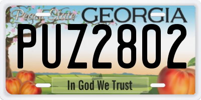 GA license plate PUZ2802