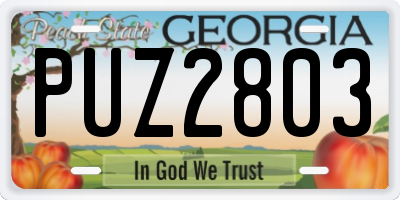 GA license plate PUZ2803