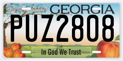 GA license plate PUZ2808