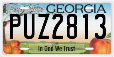 GA license plate PUZ2813
