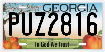 GA license plate PUZ2816