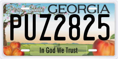 GA license plate PUZ2825
