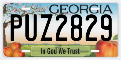 GA license plate PUZ2829