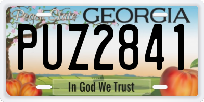 GA license plate PUZ2841