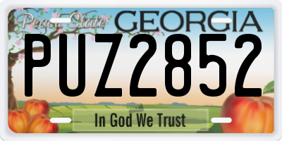 GA license plate PUZ2852